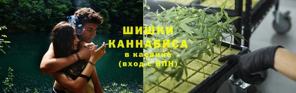 скорость Ладушкин