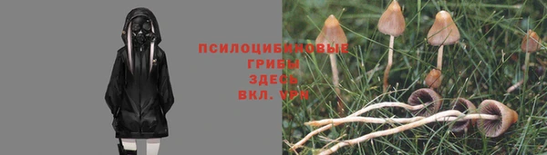 скорость Ладушкин