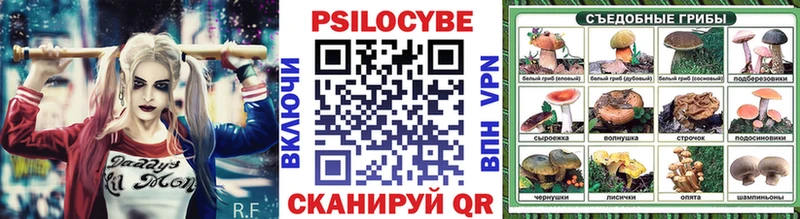 Купить где  Макаров  Псилоцибиновые грибы Psilocybine cubensis 
